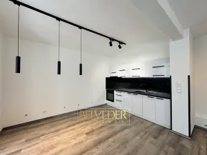 Pronájem bytu 2+kk, Teplice, Masarykova třída, 73 m2