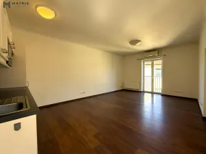 Pronájem bytu 1+kk, Praha - Libeň, Zenklova, 77 m2