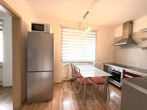 Pronájem bytu 1+1, Plzeň, Kyjevská, 28 m2