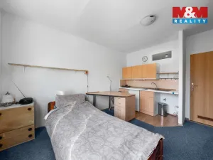 Prodej bytu 1+kk, Ústí nad Labem - Severní Terasa, Pod Parkem, 19 m2