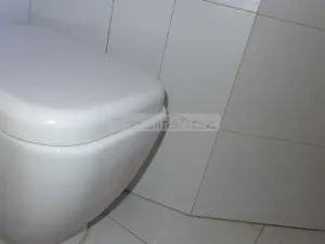 Prodej bytu 2+kk, Plzeň - Východní Předměstí, Guldenerova, 55 m2