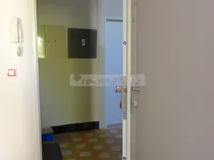 Prodej bytu 2+kk, Plzeň - Východní Předměstí, Guldenerova, 55 m2