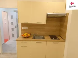 Pronájem bytu 1+kk, Plzeň, Slovanská, 22 m2