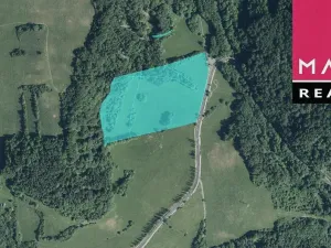 Prodej louky, Stráž nad Ohří, 63385 m2