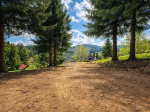 Prodej zahrady, Horní Bečva, 4093 m2