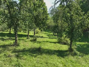 Prodej louky, Vojkovice - Jakubov, 199287 m2