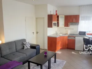 Pronájem bytu 1+kk, Brno - Židenice, Táborská, 33 m2