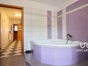 Prodej rodinného domu, Kamenná Horka, 273 m2