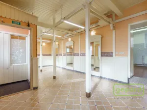 Prodej obchodního prostoru, Karlovy Vary, Rohová, 112 m2