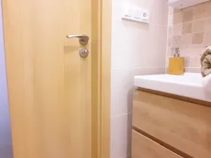 Pronájem bytu 1+1, Brno, Fričova, 46 m2