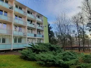 Pronájem bytu 1+1, Brno, Fričova, 46 m2