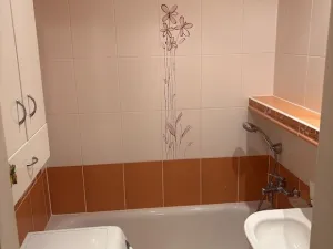 Prodej bytu 3+1, Ostrava - Poruba, Vietnamská, 66 m2