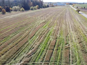 Prodej komerčního pozemku, Želetava - Šašovice, 1354 m2