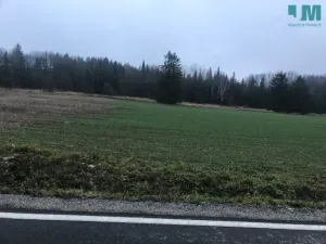 Prodej komerčního pozemku, Želetava - Šašovice, 1354 m2