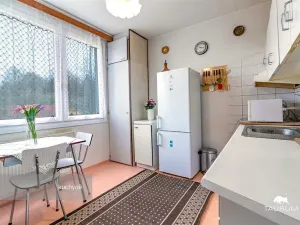 Prodej bytu 3+1, Plasy, Potoční, 74 m2