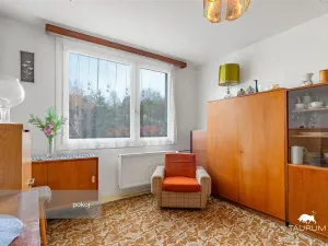 Prodej bytu 3+1, Plasy, Potoční, 74 m2