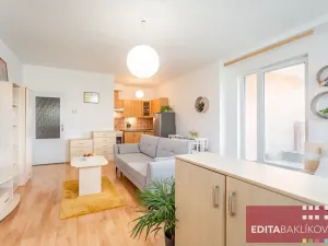 Prodej bytu 1+kk, Olomouc, Handkeho, 43 m2