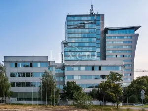 Pronájem kanceláře, Praha - Holešovice, Jankovcova, 291 m2