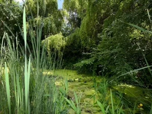 Pronájem rodinného domu, Světice, Na Spojce, 320 m2