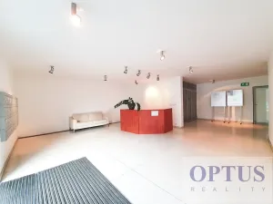 Pronájem bytu 2+kk, Praha - Vinohrady, Korunní, 76 m2
