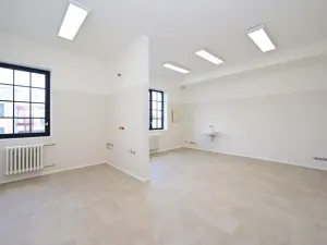 Pronájem ordinace, Hradec Králové, Pospíšilova, 55 m2