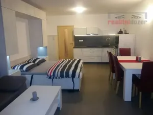 Prodej bytu 1+kk, Říčky v Orlických horách, 55 m2