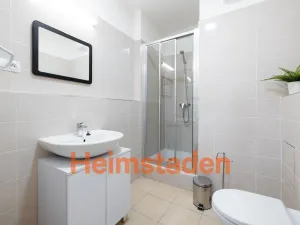 Pronájem bytu 2+1, Plzeň - Jižní Předměstí, Magisterská, 46 m2