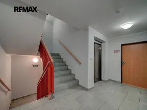 Pronájem bytu 1+kk, Poděbrady, Čechova, 28 m2