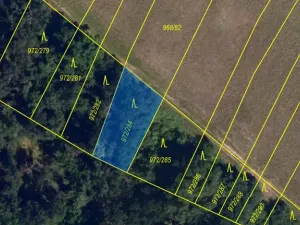 Prodej lesa, Silůvky, 375 m2