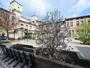 Pronájem ordinace, Hradec Králové, Pospíšilova, 55 m2