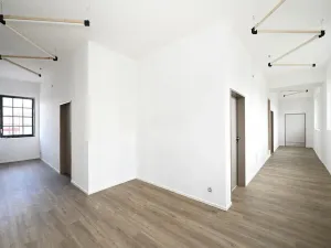 Pronájem ordinace, Hradec Králové, Pospíšilova, 55 m2