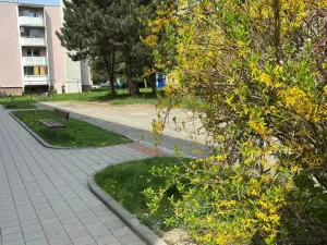 Prodej bytu 4+1, Kroměříž, Talichova, 96 m2