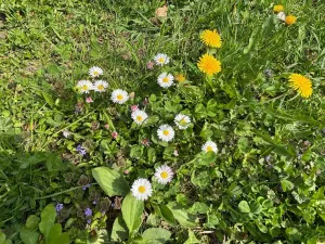 Prodej bytu 4+1, Kroměříž, Talichova, 96 m2