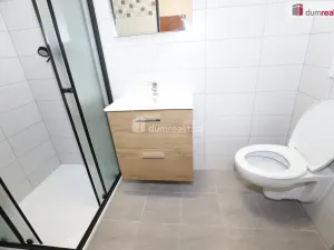 Pronájem bytu 1+kk, Přimda - Újezd pod Přimdou, 15 m2