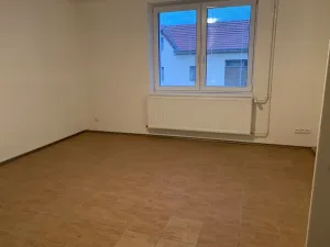 Pronájem bytu 2+kk, Vážany, 55 m2