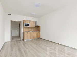 Pronájem bytu 1+kk, Praha - Vršovice, Petrohradská, 30 m2