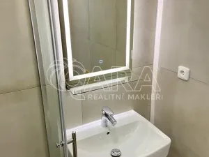 Pronájem bytu 1+1, Vyškov - Vyškov-Předměstí, 41 m2