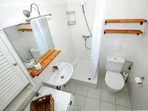 Pronájem bytu 1+kk, Hostivice, Školská, 29 m2