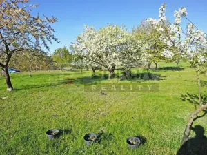 Prodej zahrady, Mělník, 9817 m2