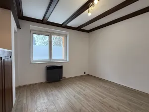 Prodej bytu 1+1, Božičany, 39 m2