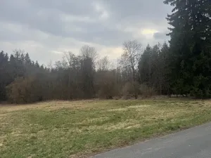 Prodej pole, Hlavňovice, 11738 m2