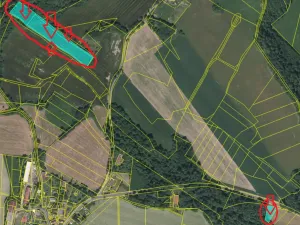 Prodej pole, Hlavňovice, 11738 m2