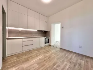 Pronájem bytu 2+1, Opava - Předměstí, Hviezdoslavova, 60 m2