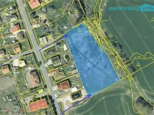Prodej pozemku pro bydlení, Planá, 5800 m2