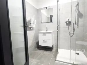 Pronájem bytu 1+kk, Písek, Vladislavova, 40 m2