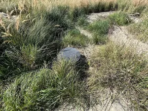 Prodej pozemku pro bydlení, Bavorov, 1396 m2