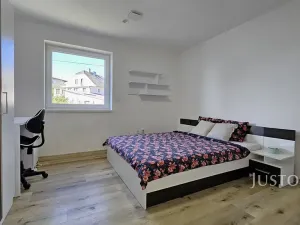 Prodej rodinného domu, Písek, Nová, 276 m2