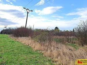 Prodej zahrady, Brno, 863 m2