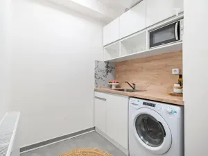 Prodej bytu 1+1, Brno, Karla Kryla, 31 m2