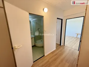 Pronájem bytu 1+1, Kralupy nad Vltavou, sídl. Hůrka, 43 m2